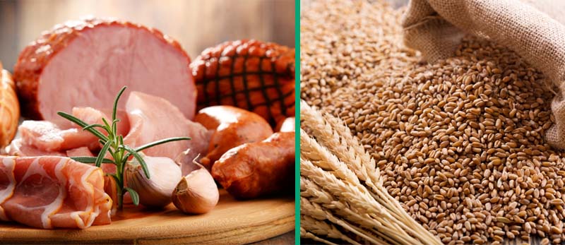 Import Controls, from EU to UK